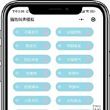 盒子云 - 猫狗叫声模拟器微信小程序前端源码 - 资源封面