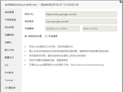 通过宝塔反向代理直接访问国外被墙的站点 适用于谷歌、ss等